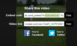 Get the video ID from various video platforms